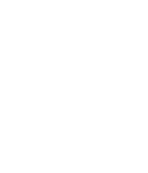 Primary Raster logo